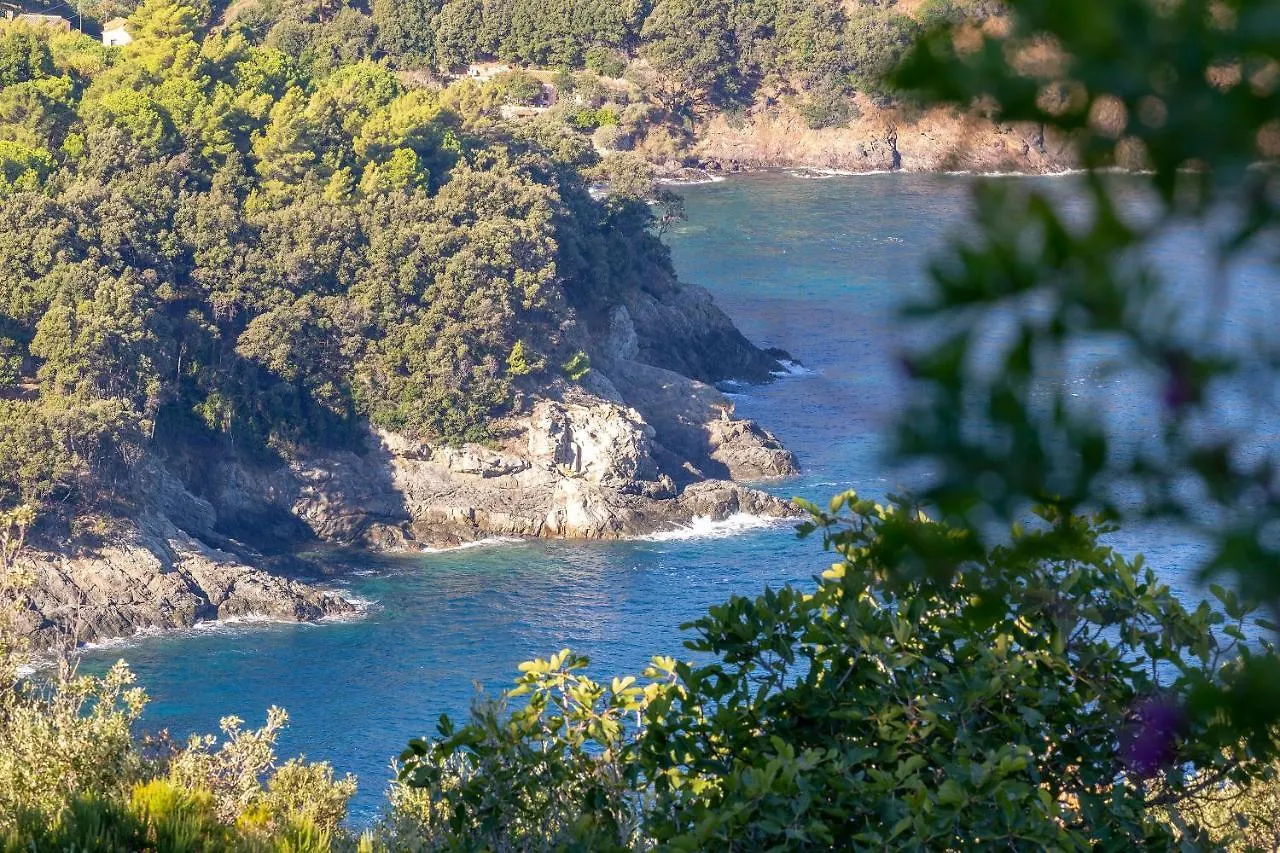 Bilocale Gabbiano 2 Daire Marciana Marina
