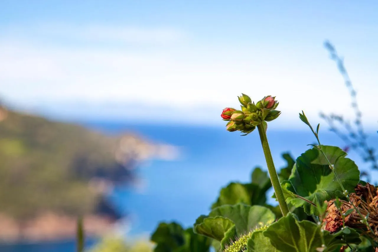 Bilocale Gabbiano 2 Daire Marciana Marina  İtalya